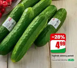 Dino Ogórek zielony polski 1 szt oferta