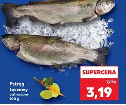 Kaufland Pstrąg tęczowy oferta