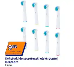 Action Końcówka do szczoteczki elektrycznej Dentapro oferta