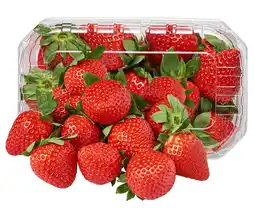 Dino Truskawka 500g szt oferta