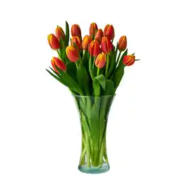 Dino Kwiat bukiet Tulipan 15szt oferta