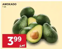 Stokrotka Ziemniaki jadalne oferta