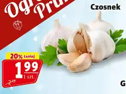 Prim Market Czosnek oferta