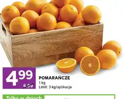 Stokrotka Express Pomarańcze oferta