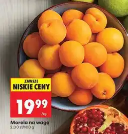 Biedronka Morela na wagę oferta