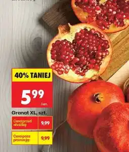 Biedronka Granat XL, szt oferta