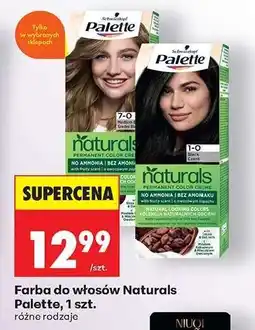 Biedronka Farba do włosów Naturals Palette, 1 szt oferta