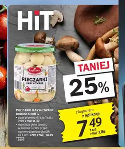 Selgros Pieczarki marynowane Urbanek oferta