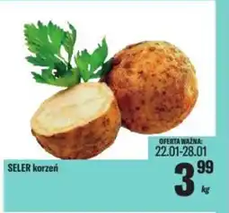 TomiMarkt Seler korzeń oferta