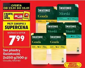 Ser plastry Światowid, Gouda, Morski