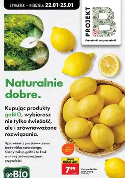 Biedronka Ser plastry Światowid, Gouda, Morski oferta