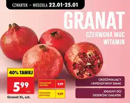 Biedronka Ser plastry Światowid 2x250 g/500 g Gouda, Morski oferta