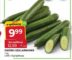 Stokrotka Ogórki szklarniowe oferta
