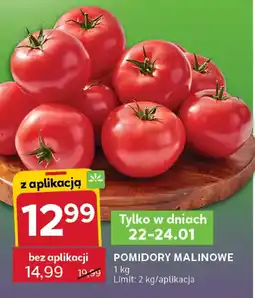 Stokrotka Pomidory malinowe oferta