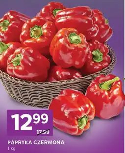 Stokrotka Papryka czerwona oferta
