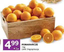 Stokrotka Pomarańcze oferta