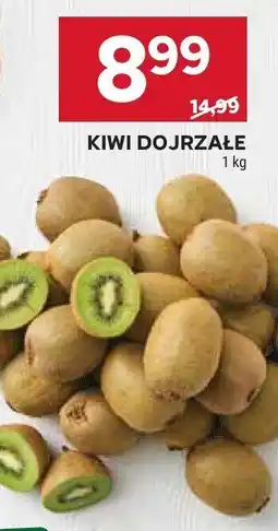Stokrotka Kiwi dojrzałe oferta