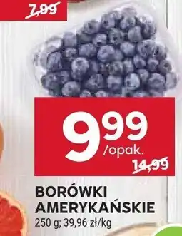 Stokrotka Borówki amerykańskie oferta