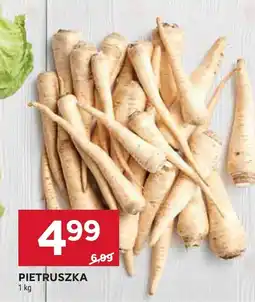 Stokrotka Pietruszka oferta