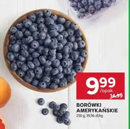 Stokrotka Borówki amerykańskie oferta