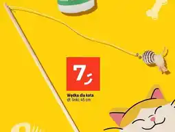 Dealz Wędka dla kota oferta