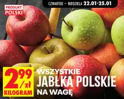 Biedronka Jabłka polskie na wagę oferta