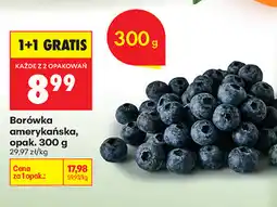 Biedronka Borówka amerykańska, opak oferta