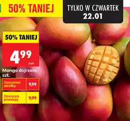 Biedronka Mango dojrzałe, szt oferta
