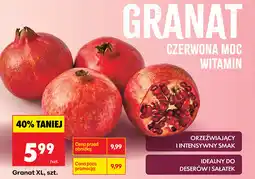 Biedronka Granat XL oferta