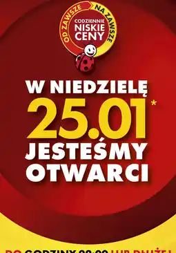 Biedronka Niedziela handlowa | Biedronka oferta