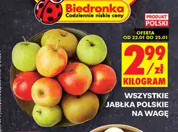 Biedronka Jabłka polskie kg oferta