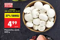 Biedronka Pieczarka, opak oferta