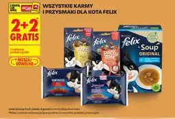 Biedronka Felix karmy i przysmaki dla kota oferta