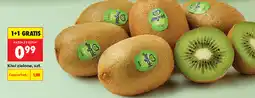 Biedronka Kiwi zielone, szt oferta
