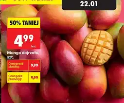 Biedronka Mango dojrzałe 1 szt oferta