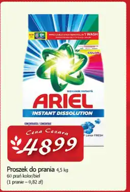 Cezar Delikatesy Ariel proszek do prania oferta