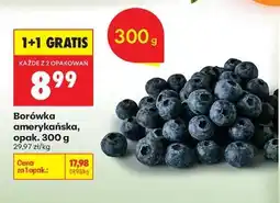 Biedronka Borówka amerykańska opak 300 g oferta