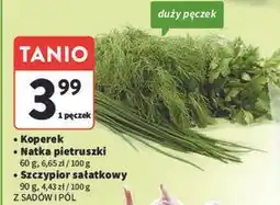 Intermarche Szczypiorek Z Sadów I Pól oferta
