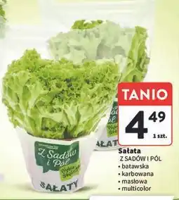 Intermarche Sałata masłowa Z Sadów I Pól oferta