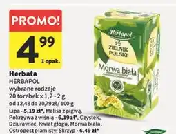 Intermarche Herbatka skrzyp Herbapol Zielnik Polski oferta