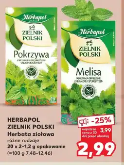 Kaufland Herbapol Zielnik Polski oferta