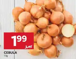 Stokrotka Market Cebula oferta