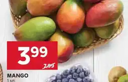 Stokrotka Market Mango oferta