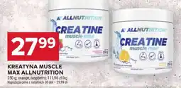 Stokrotka Market KREATYNA MUSCLE MAX ALLNUTRITION oferta