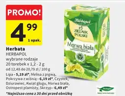 Intermarche Herbata wybrane rodzaje oferta