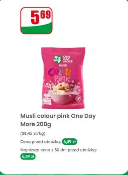 Dino Pomarańcza czerwona oferta