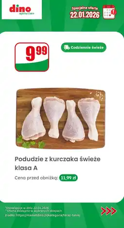 Dino Podudzie z kurczaka świeże klasa A oferta