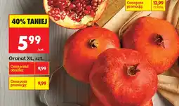 Biedronka Granat oferta