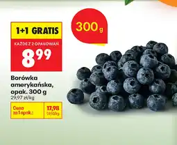 Biedronka Borówka amerykańska K! oferta