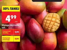 Biedronka Mango oferta